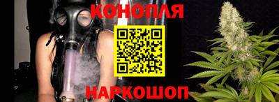2c-b Новозыбков