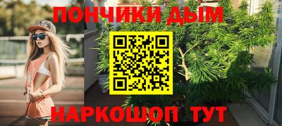 2c-b Новозыбков