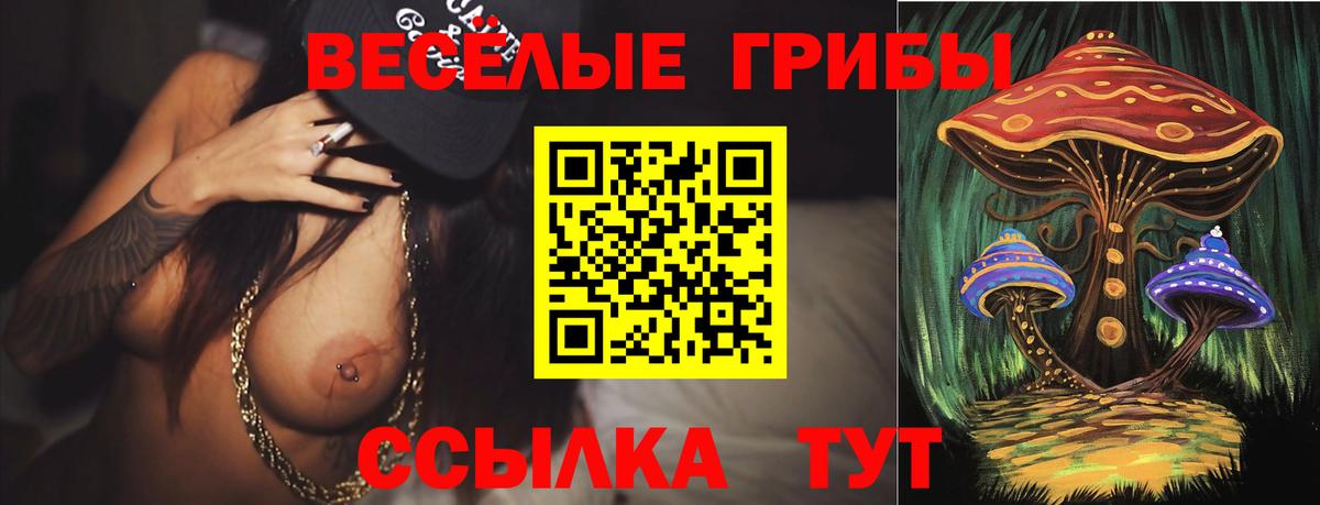 Нягань  Псилоцибиновые грибы ЛСД  Вход с VPN 